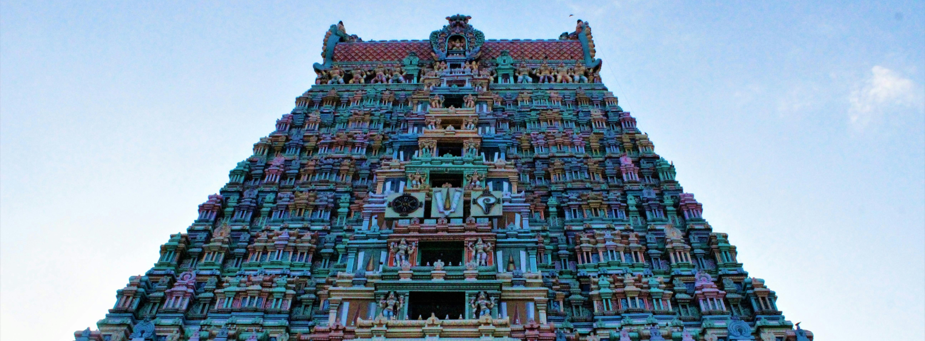 Homa